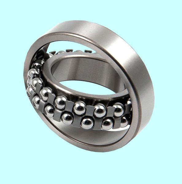 Подшипник 1309