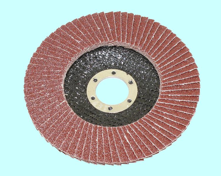 Круг КЛТ1 125х22,2 14А Р 80 (№20) "TLX" (SA28003)