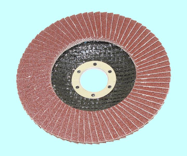 Круг КЛТ1 125х22,2 14А Р120 (№10) "TLX" (SA28003)