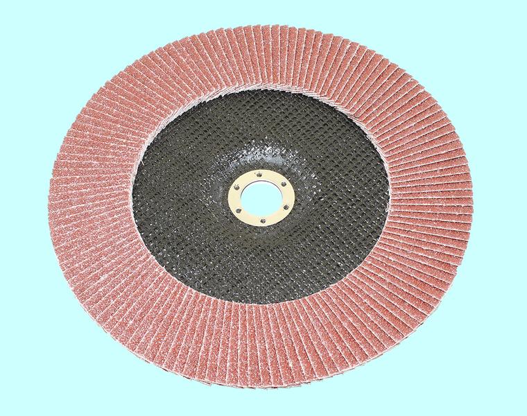 Круг КЛТ1 230х22,2 14А Р 40 (№40) "TLX" (SA28003)