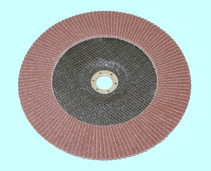 Круг КЛТ1 230х22,2 14А Р 60 (№25) "TLX" (SA28003)