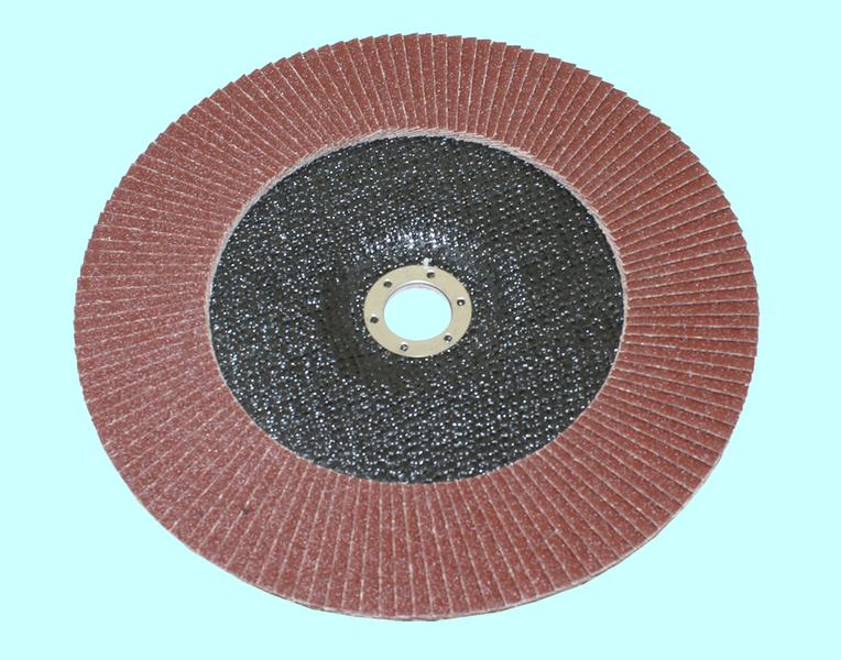 Круг КЛТ1 230х22,2 14А Р 80 (№20) "TLX" (SA28003)